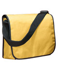 Laptop/Messenger Bags