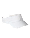 Visors