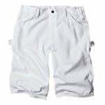 DickiesWR820 Premium Painter Short