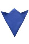  Edwards PS01 Edwards Solid Pocket Square - Unisex