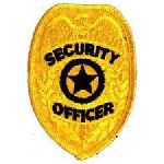 Hero's Pride 17 Gold Security Officer Badge