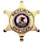 Hero's Pride 4119G SECURITY OFFICER w/ IL Seal - Traditional - Gold