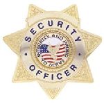 Hero's Pride 4125G SECURITY OFCR - Star w/INTEGRITY - Traditional - Gold