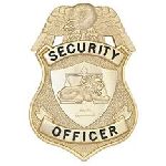 Hero's Pride 4138G SECURITY OFFICER - N.Y. - Traditional - Gold