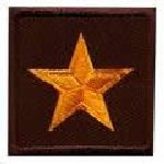 Hero's Pride 4995 Pairs - 1 Star General - Dk Gold on Brown - 1-1/2 x 1-1/2"