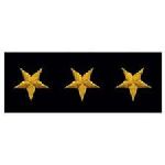 Hero's Pride 5532 Stars - Continuous - Dark Gold on Black Felt - 5/8"