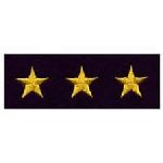 Hero's Pride 5540 Stars - Continuous - Med Gold on Dk Navy Felt - 5/8"