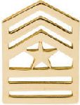 Hero's Pride 6528 Pairs - Sgt Major - Dress/Gold