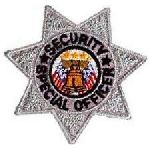 Security Special Officer - 7 Pt Silver Star - 3 X 3"