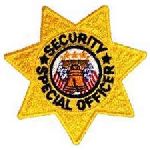 Hero's Pride 81 Security Special Officer - 7 Pt Gold Star - 3 X 3"