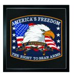 Hero's Pride 8485T09 America's Freedom - 12 X 10-7/8"- Framed