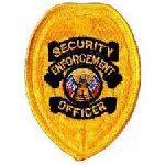 Hero's Pride 89 Security Enforcement Officer - Gold Badge - 2-3/8 X 3-1/2"