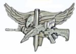  Premier Emblem P2477 Armed Eagle