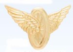  Premier Emblem P2910 Motorcycle Wings