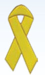 Premier Emblem P4208 Yellow Ribbon Pin