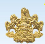  Premier Emblem P4948 Penna Coat of Arms Med