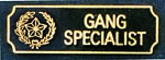 Premier Emblem PA10-22 Gang Specialist