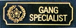  Premier Emblem PA10-22 Gang Specialist