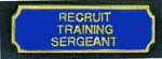  Premier Emblem PA10-45 Recruit Training Sergeant