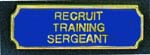 Premier Emblem PA10-45 Recruit Training Sergeant