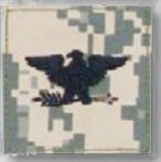 Premier Emblem PMSV-121 BLACK ACU ranks WT VELCRO - Colonel