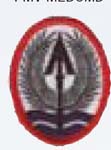 Premier Emblem PMV-MNCORPS Multinational Corps