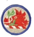  Premier Emblem PMV-NGGA Georgia