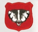 Premier Emblem PMV-NGWI Wisconsin