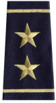  Premier Emblem S1655 2 Star