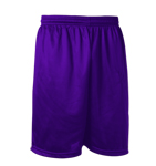 Mini Mesh Short with 9 inseam