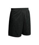 Mini Mesh Short