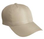 Port Authority Perforated Cap.