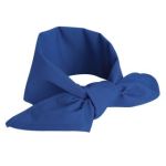  0.119 NP12 Neckerchief