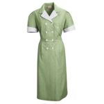  1.1 9S01 Double-Breasted Lapel Dress